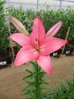 [4030 Fair Banks No02.JPG]